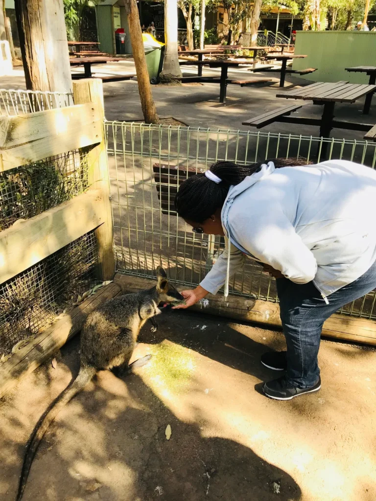 A woman petting a kangaroo in an enclosure.